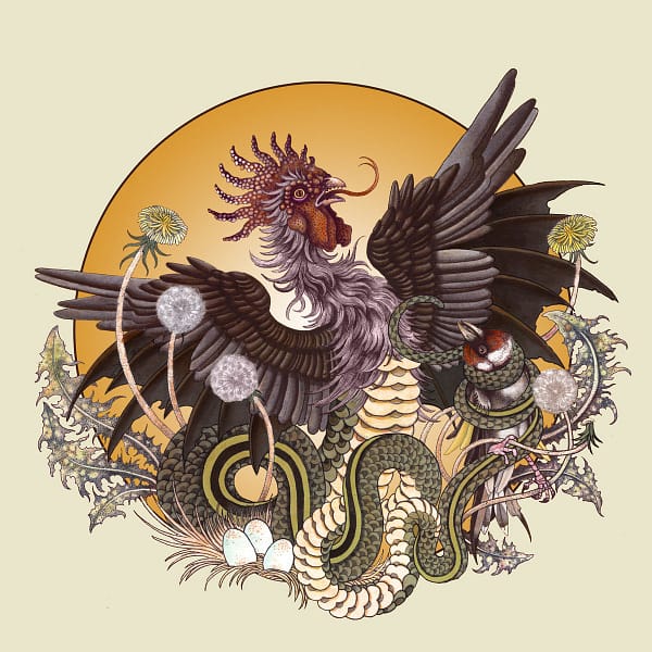 Brume - Rooster